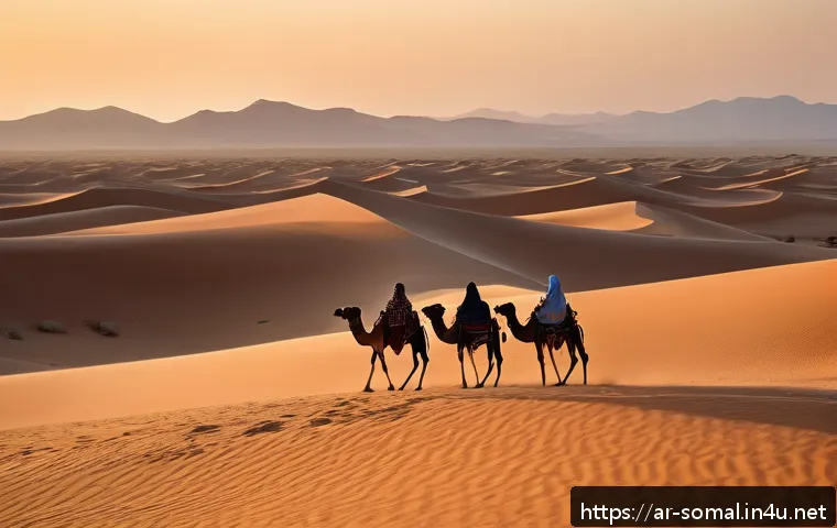 소말릴란드 사막 투어 - A vast desert landscape in Somaliland during golden hour, featuring endless rolling golden sand dune...